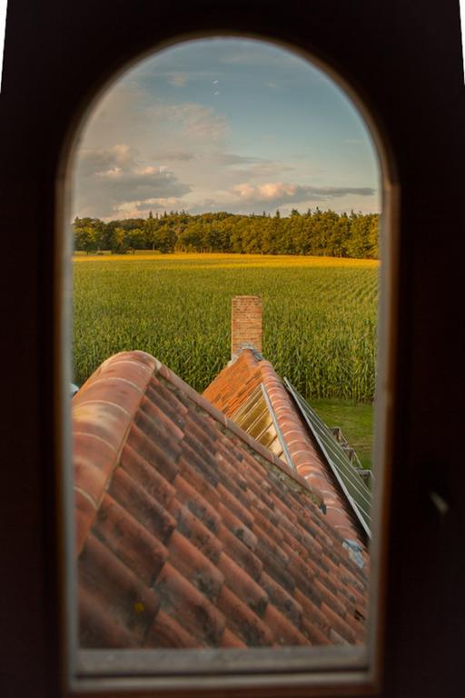 Loppem Hof Ter Sysenヴィラ 部屋 写真